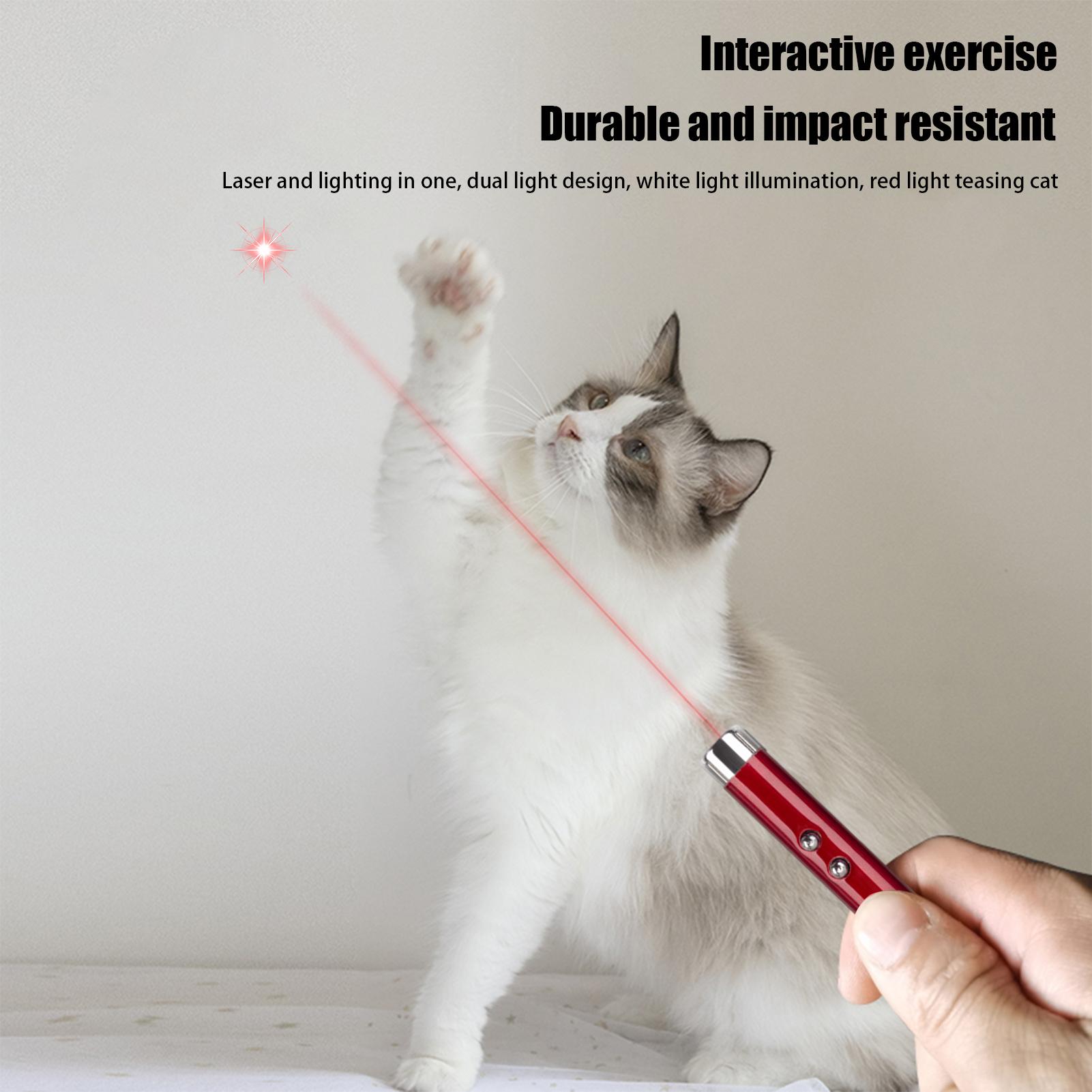 Juguete para Gatos, Varita Lás - Trail Camera Infrared reseña y precio